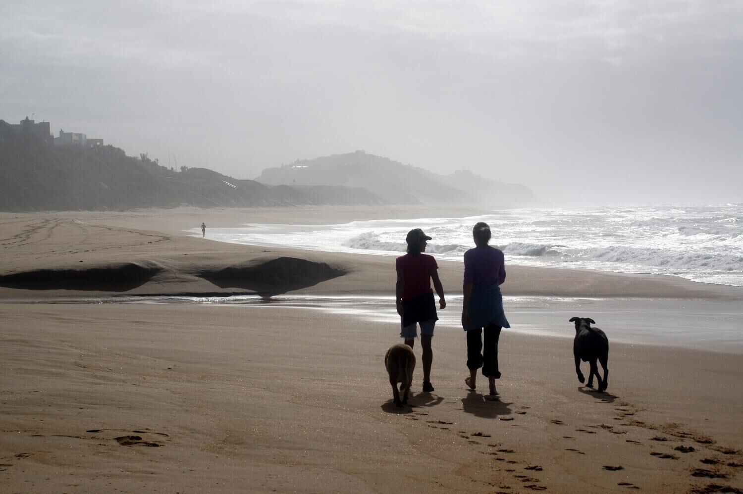 A beach with people and dogs walking along the shore, with waves crashing in the background and a hilly landscape in the distance.