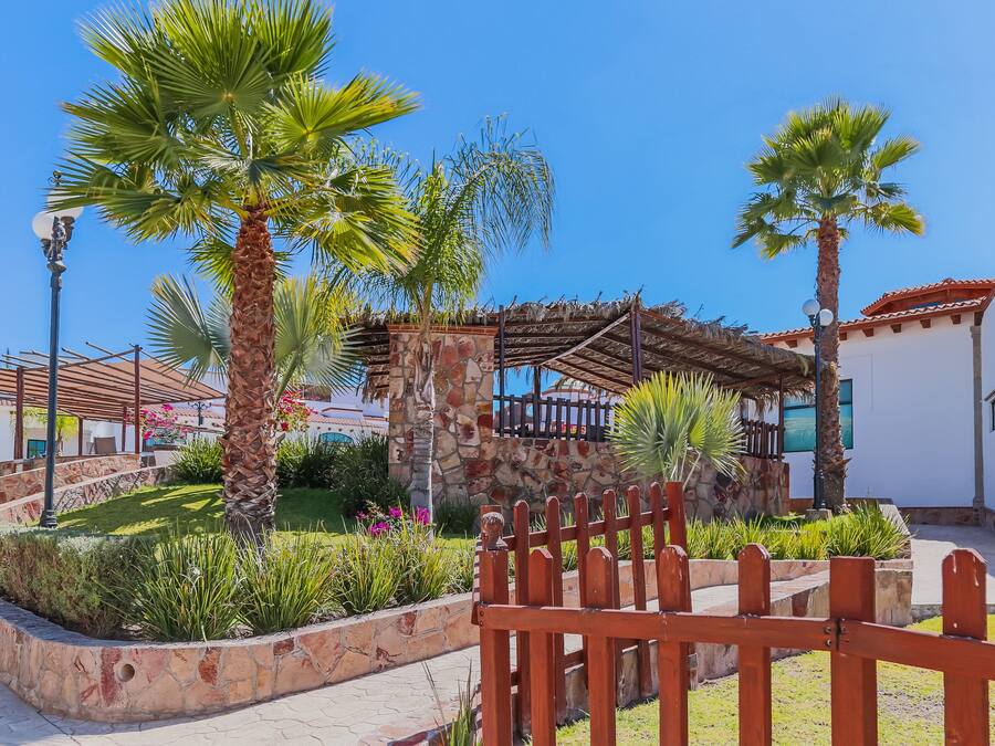 A courtyard with palm trees, a stone wall, and a wooden fence.