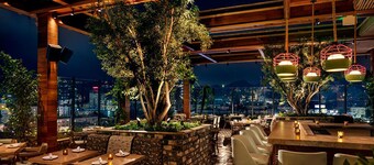 Dream Hollywood, by Hyatt