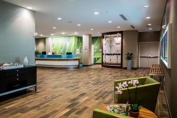 Hotel entrance and lobby at Springhill Suites by Marriott Charleston Mount Pleasant