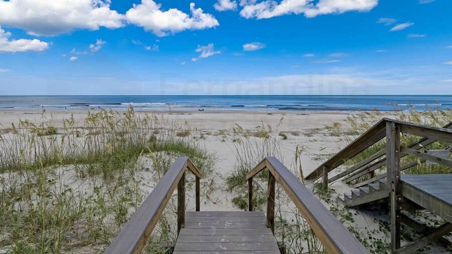 Dog Friendly Oceanfront Beach House by RedAwning