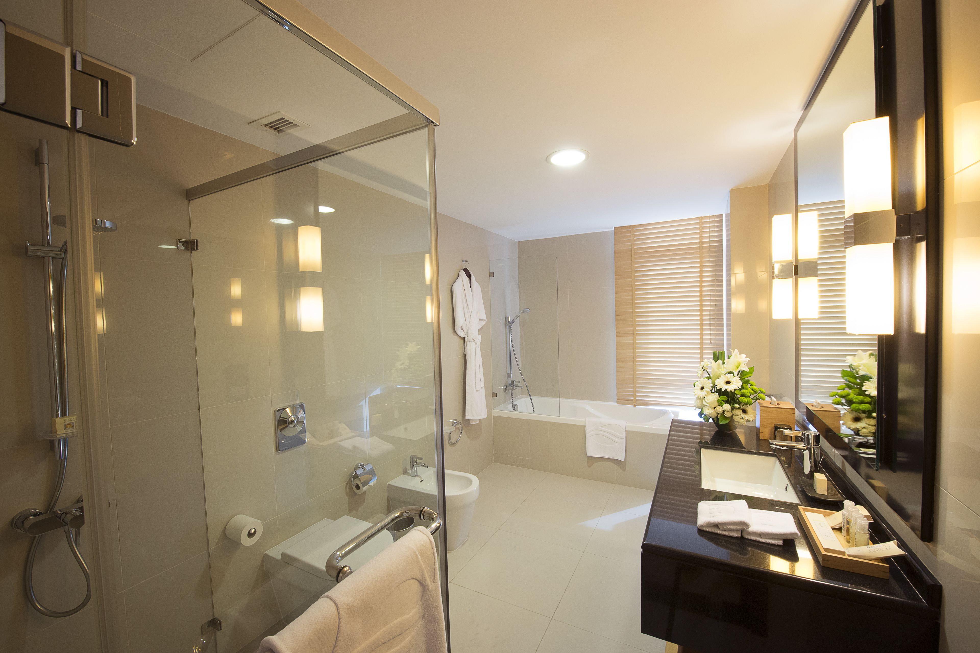 combined shower/bathtub, free toiletries, bidet, towels