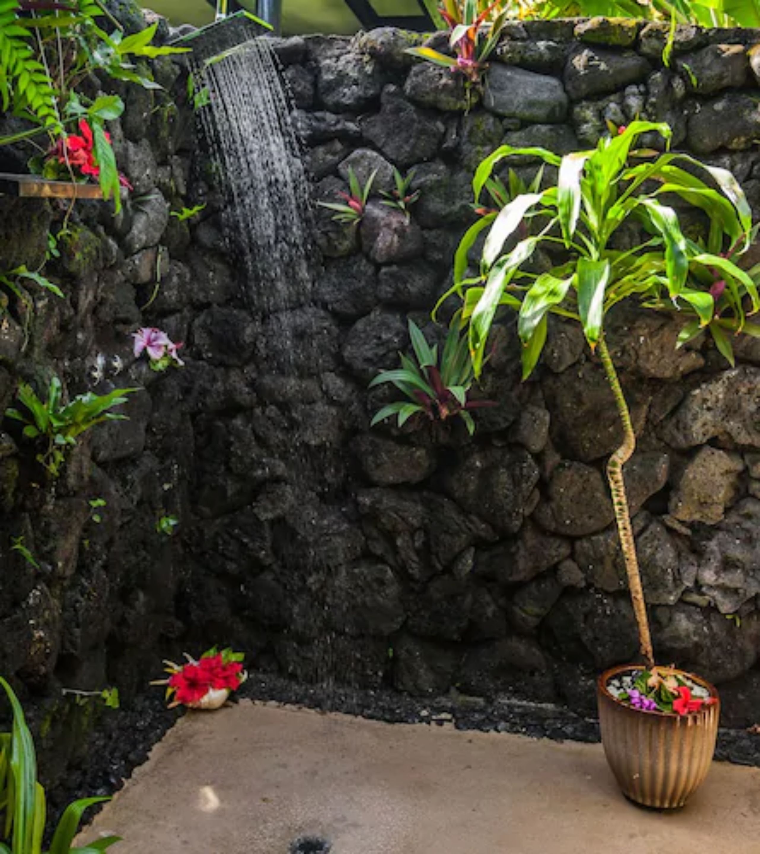 Un muro de piedra con una pequeña cascada, una planta en maceta y diversas plantas tropicales.