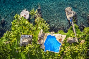 An aerial view of a tropical resort with a swimming pool, palm trees, and a thatched-roof structure. - Paradise Taveuni (Taveuni Island West)
