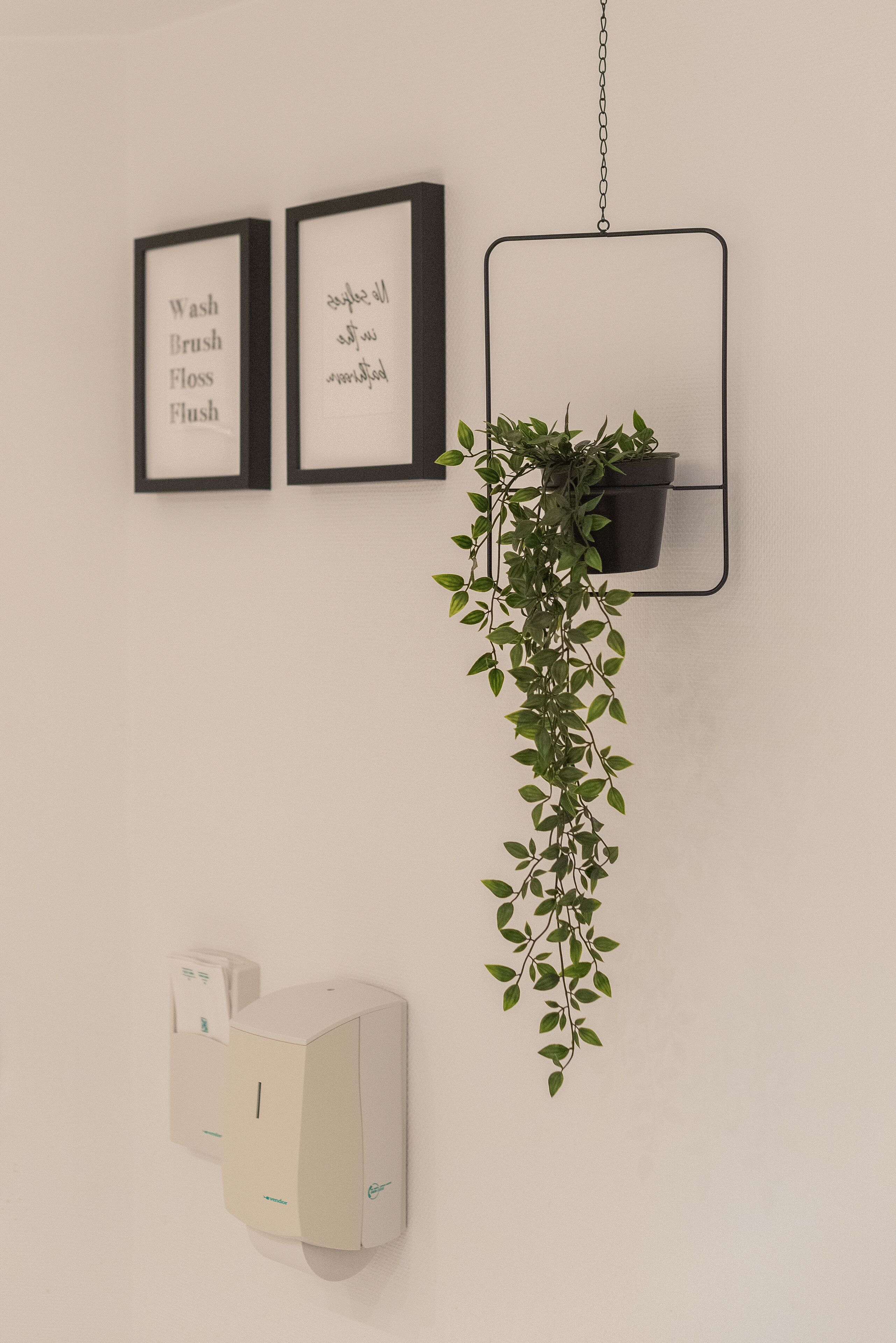 A wall-mounted plant, two framed signs with text, and a white object below the signs.