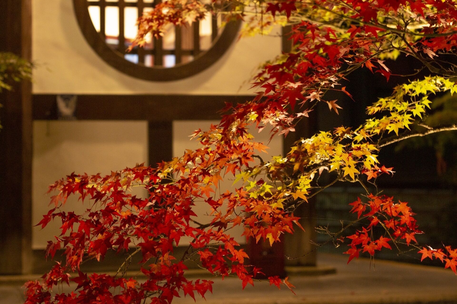A building with a circular window and a tree with autumn leaves in front.