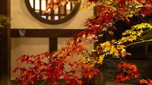 A building with a circular window and a tree with autumn leaves in front. - KYOTO yadomachi Kamishichiken (Kyoto)