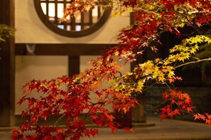 Hiking - KYOTO yadomachi Kamishichiken (Kyoto)