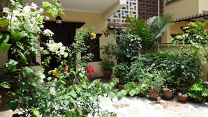 Jardín
