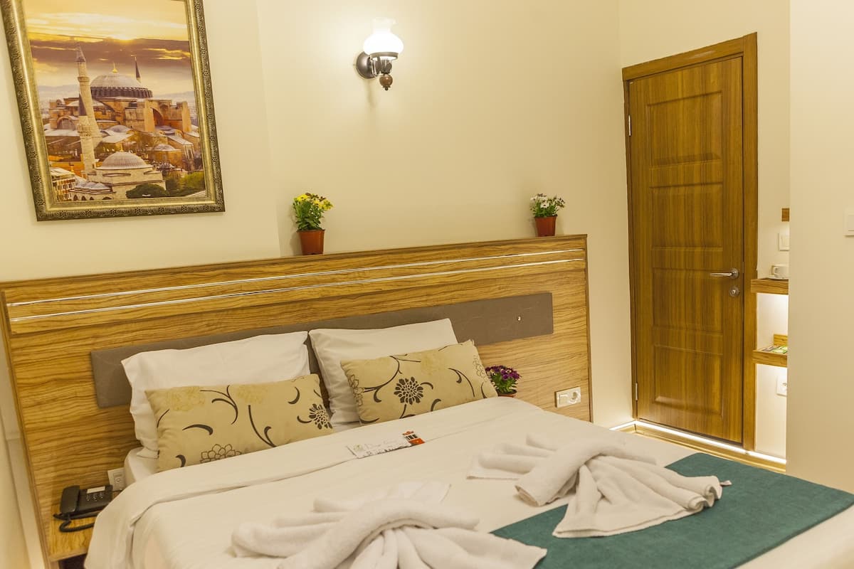 Standard Double Room | Down comforters, in-room safe, soundproofing