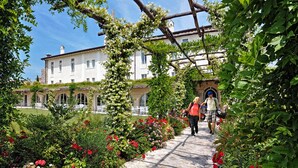 A garden pathway leading to a building with a white facade and arched windows. - Garda Apartments San Vigilio Golf (Pozzolengo)
