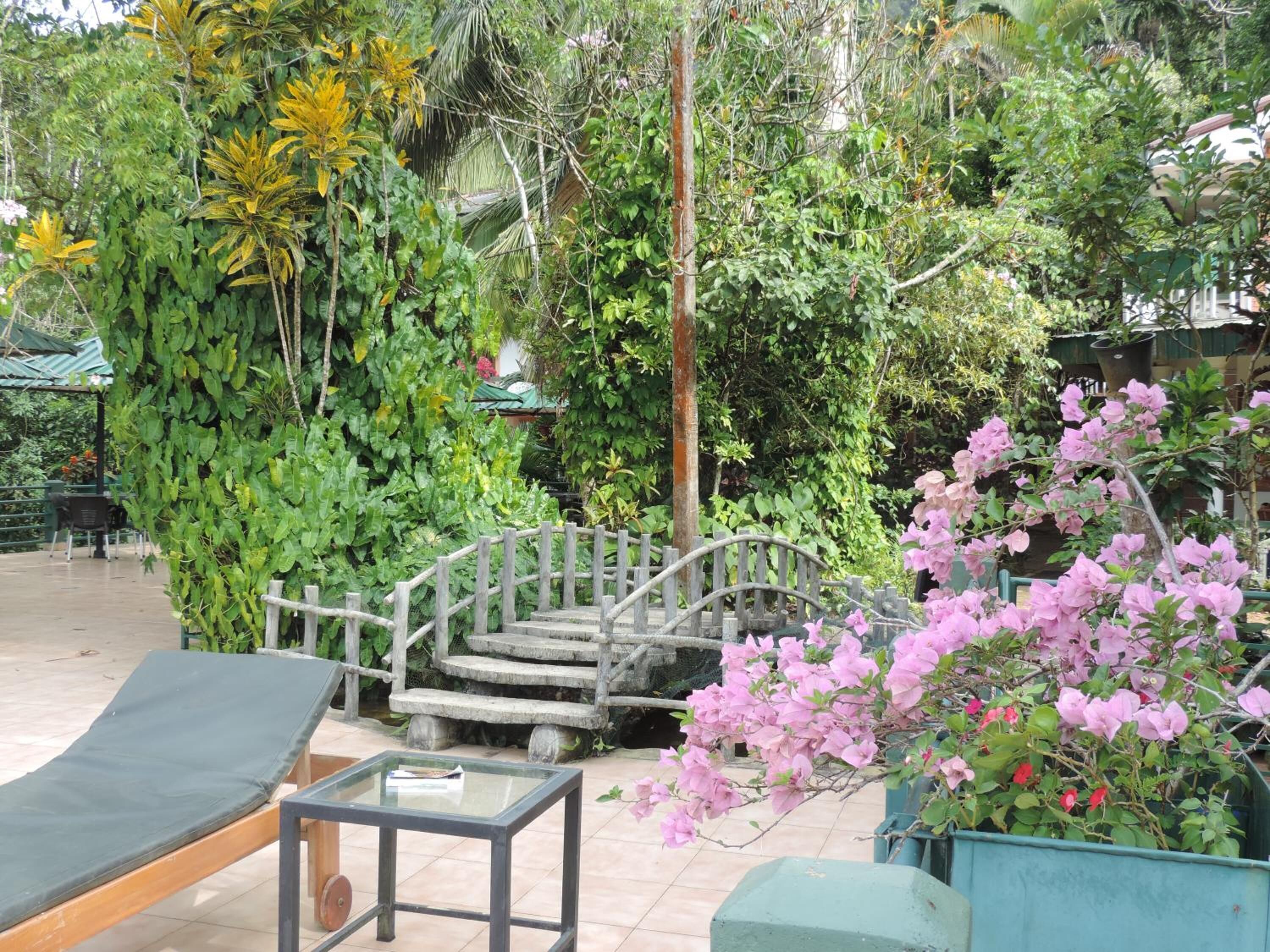 A garden with a wooden bridge, a glass table, and a bench.