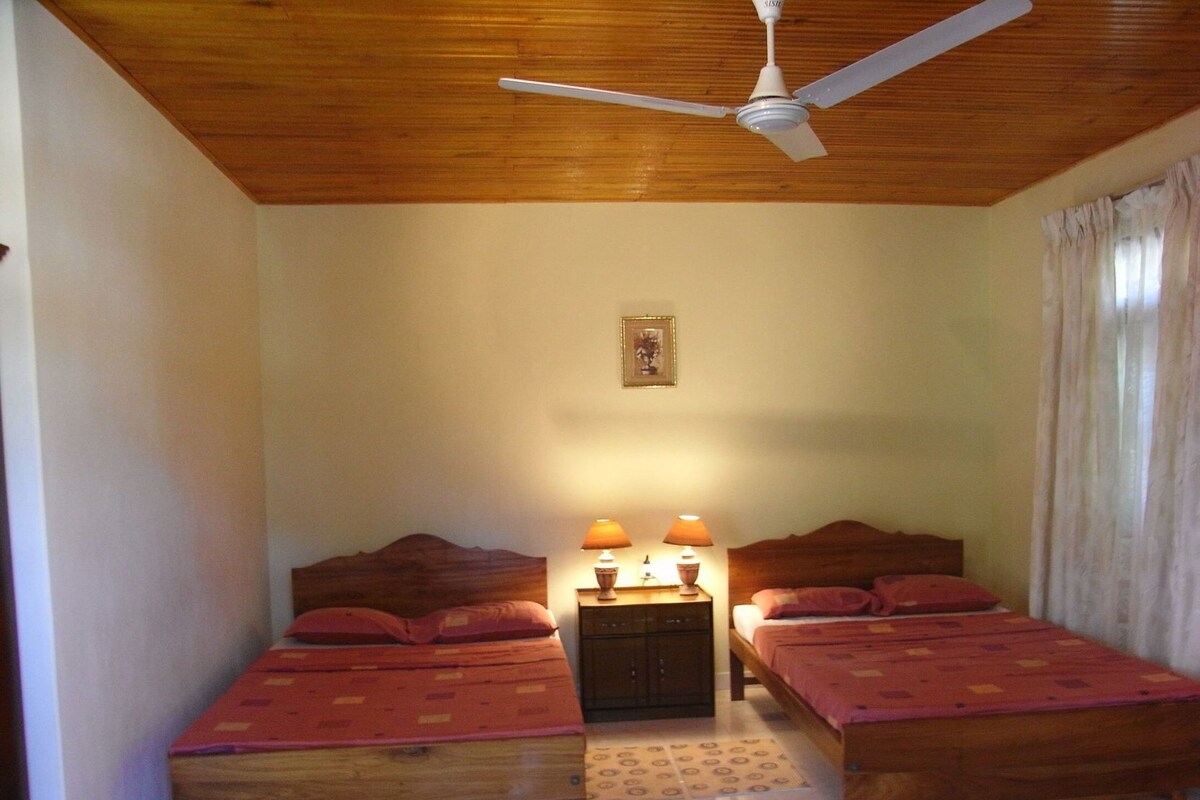 In-room safe, desk, cribs (free), WiFi (free)