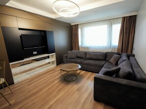 Televisión LCD 55 pulgadas con canales de televisión vía satélite