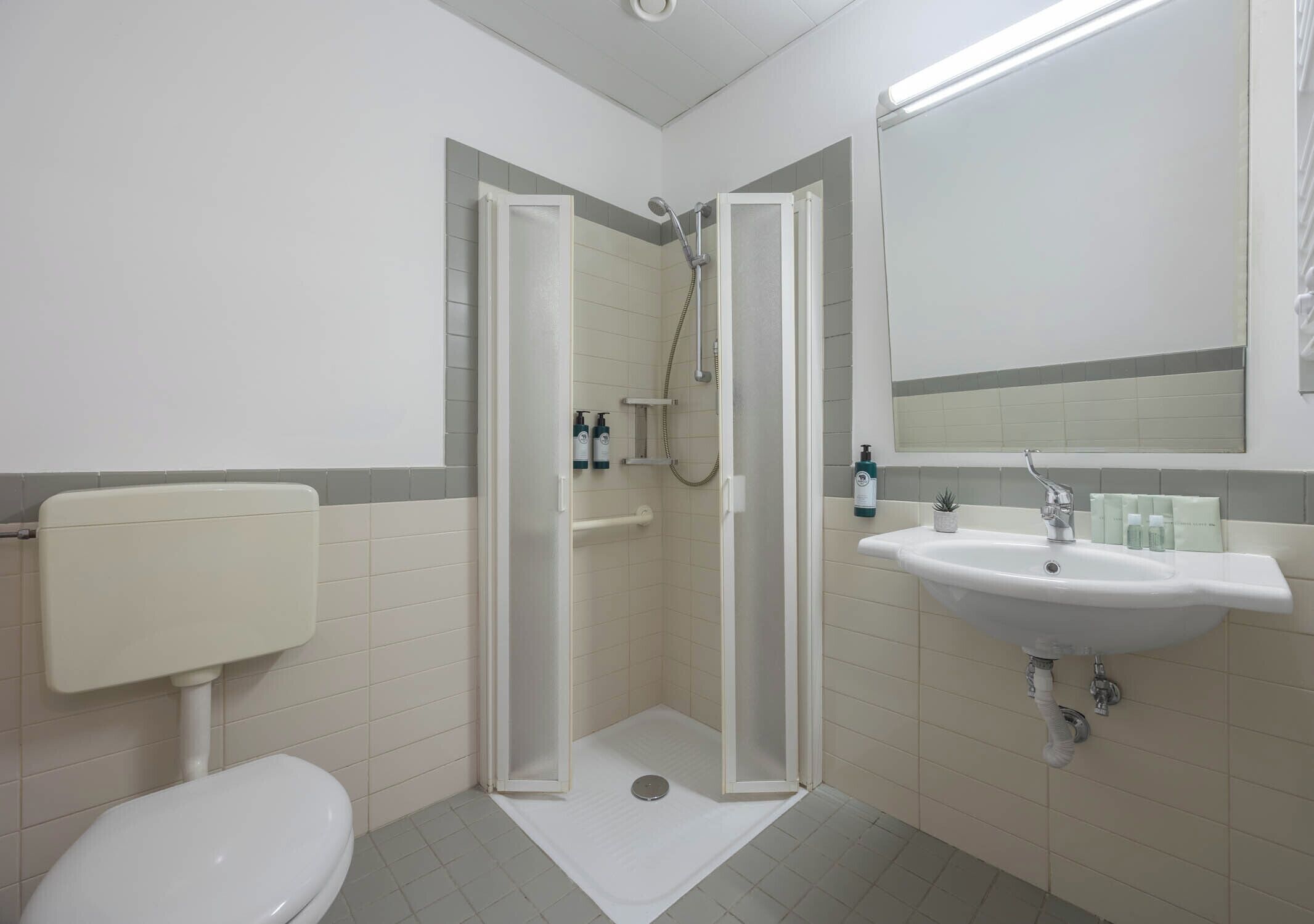 Basic-dobbeltværelse | Badeværelse | Bruser, hjemmesko, håndklæder, Sæbe