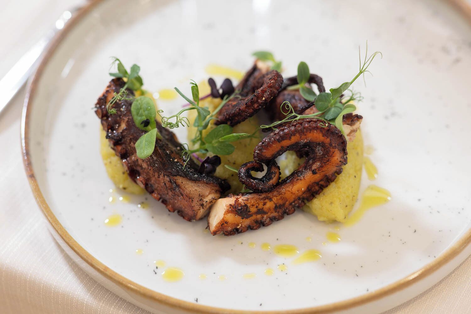 Une assiette avec des tentacules de poulpe grillés, des légumes verts et une purée jaune.