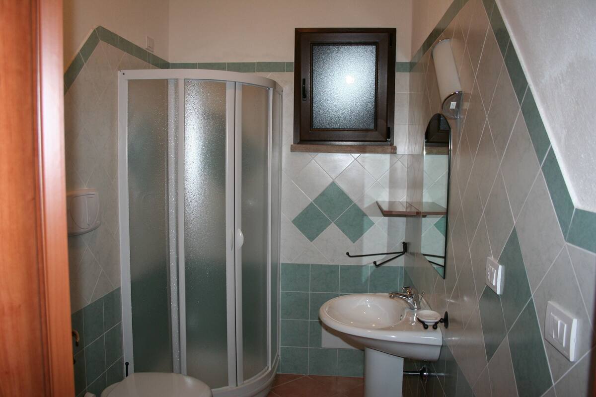 A bathroom with a shower enclosure, a sink, and a mirror.