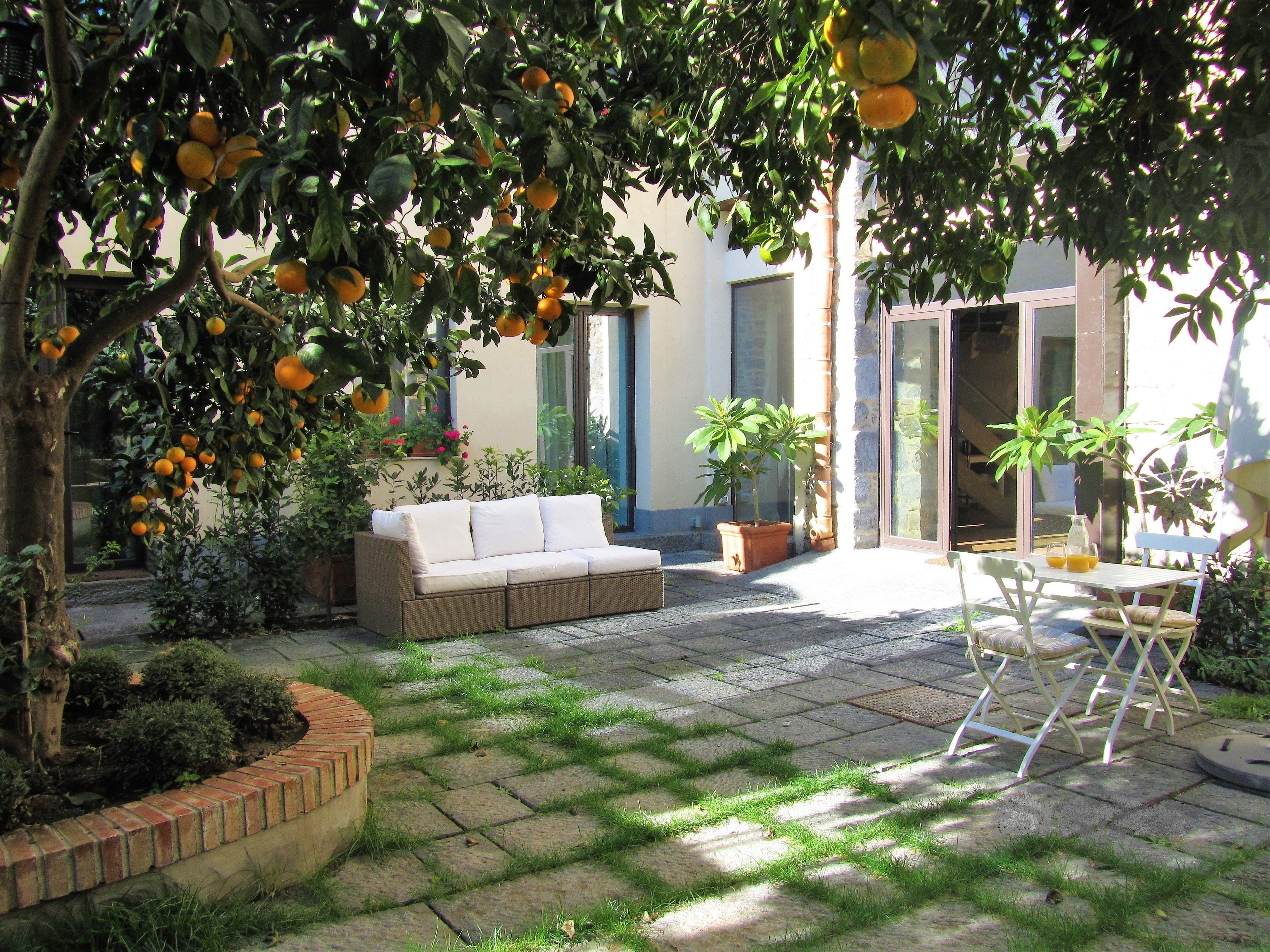 Une terrasse avec un canapé, des chaises et une table, entourée de plantes en pot et d’un arbre aux oranges.