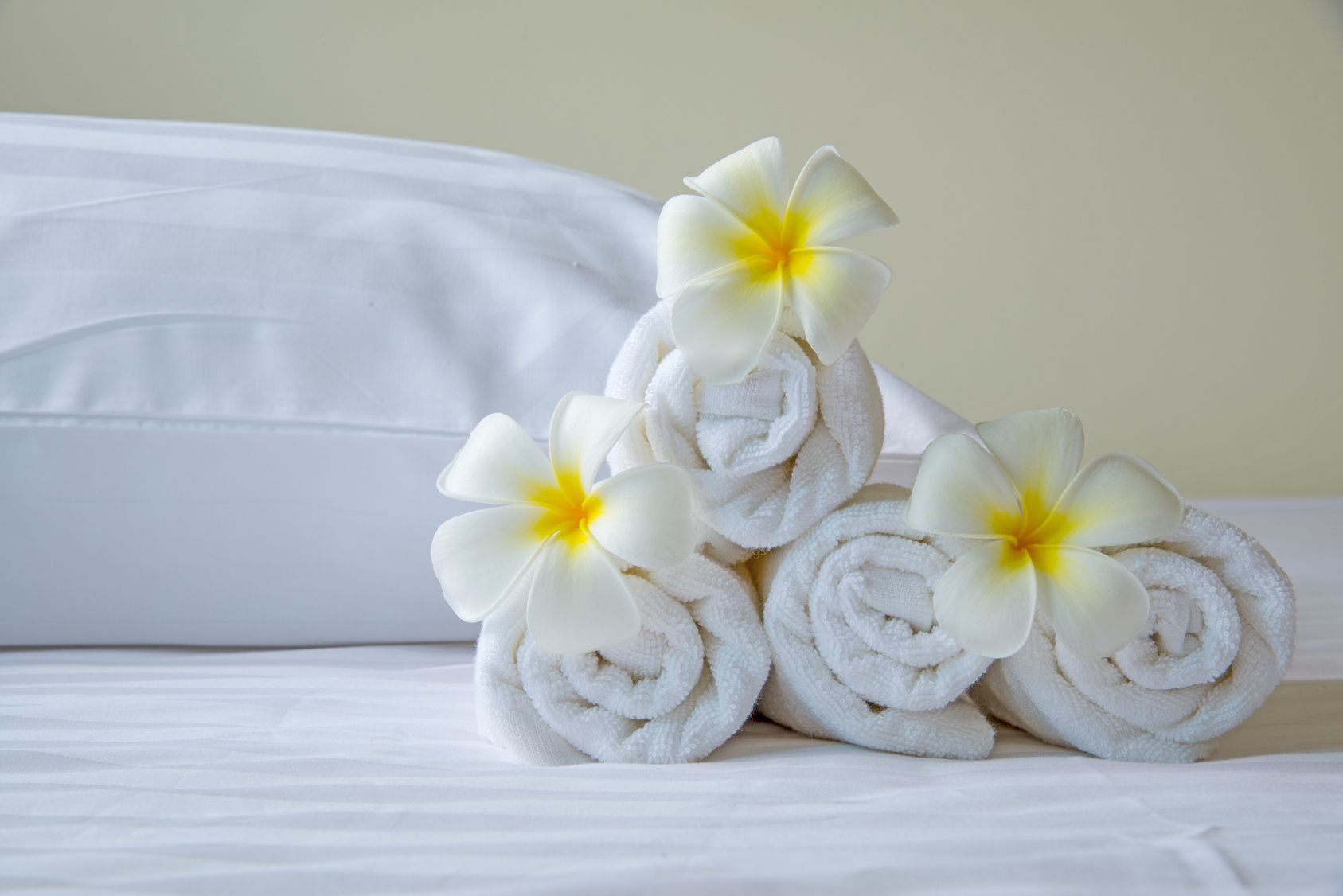 A neatly arranged set of rolled white towels with white flowers on a bed with white bedding and pillows.