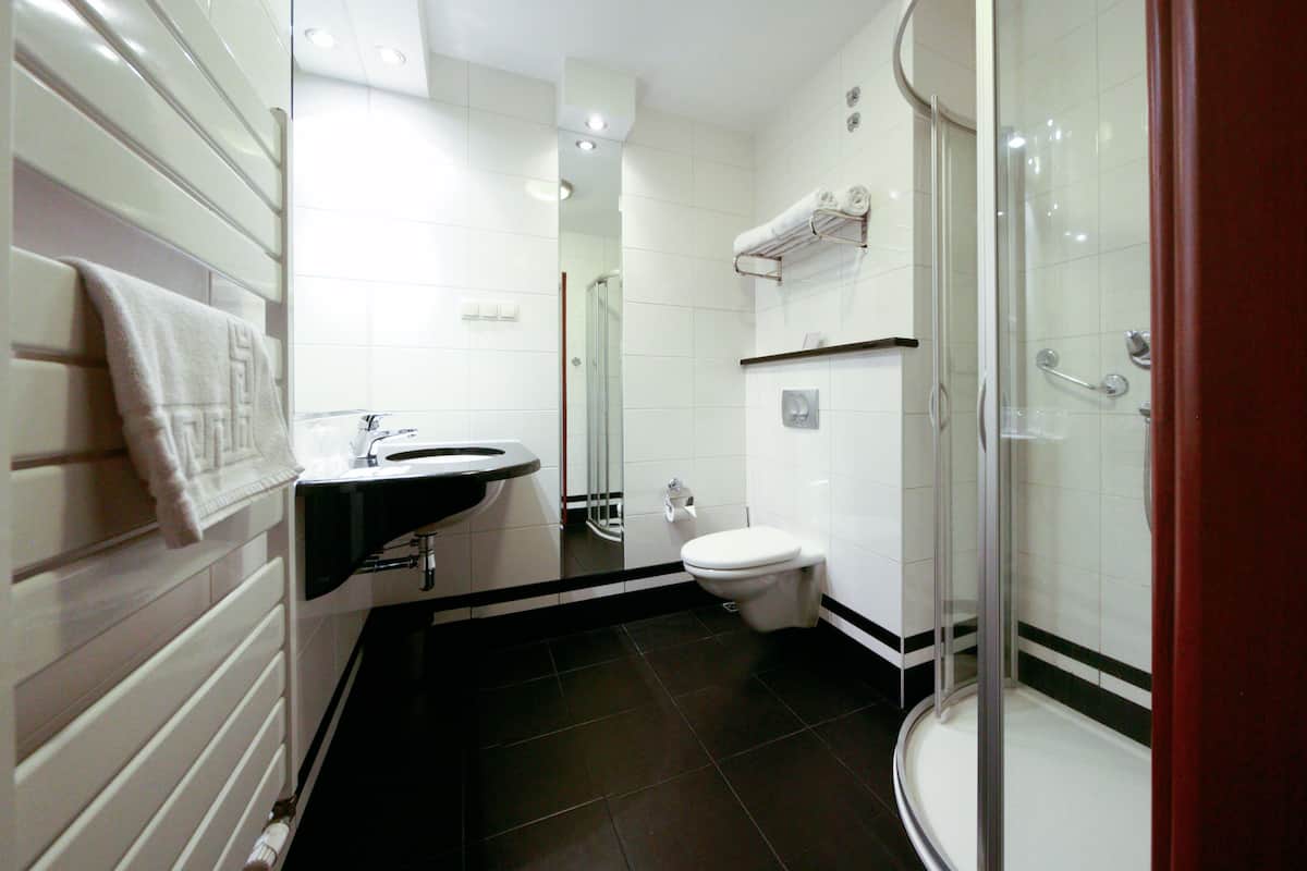 shower, rainfall showerhead, free toiletries, hair dryer