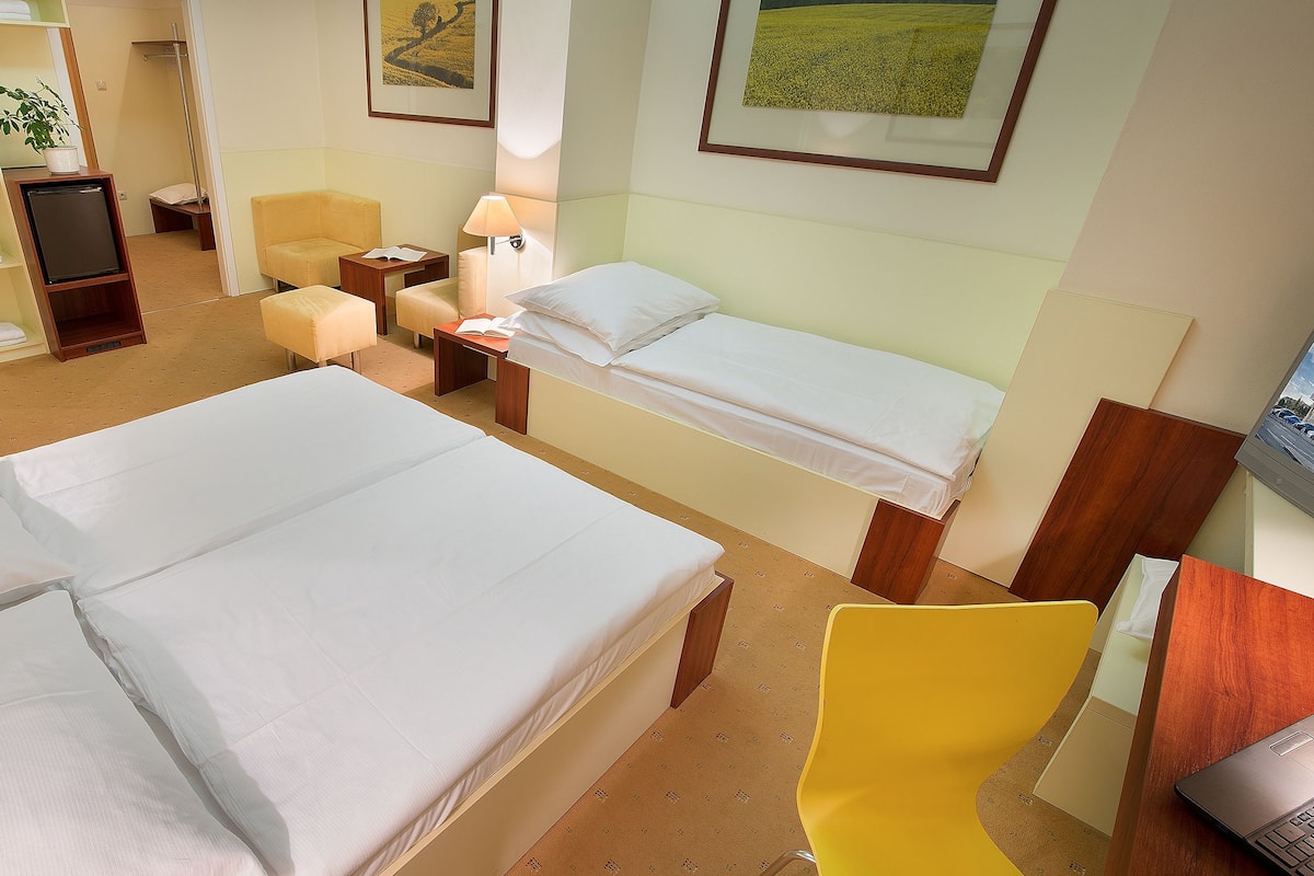 Een hotelkamer met twee bedden, een bureau, een stoel, een televisie en een boekenkast.