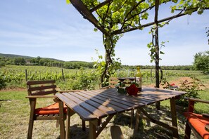 Apartment, 1 Bedroom (Il Pozzo) | BBQ/picnic area - Agriturismo Novelleto (Monteriggioni)