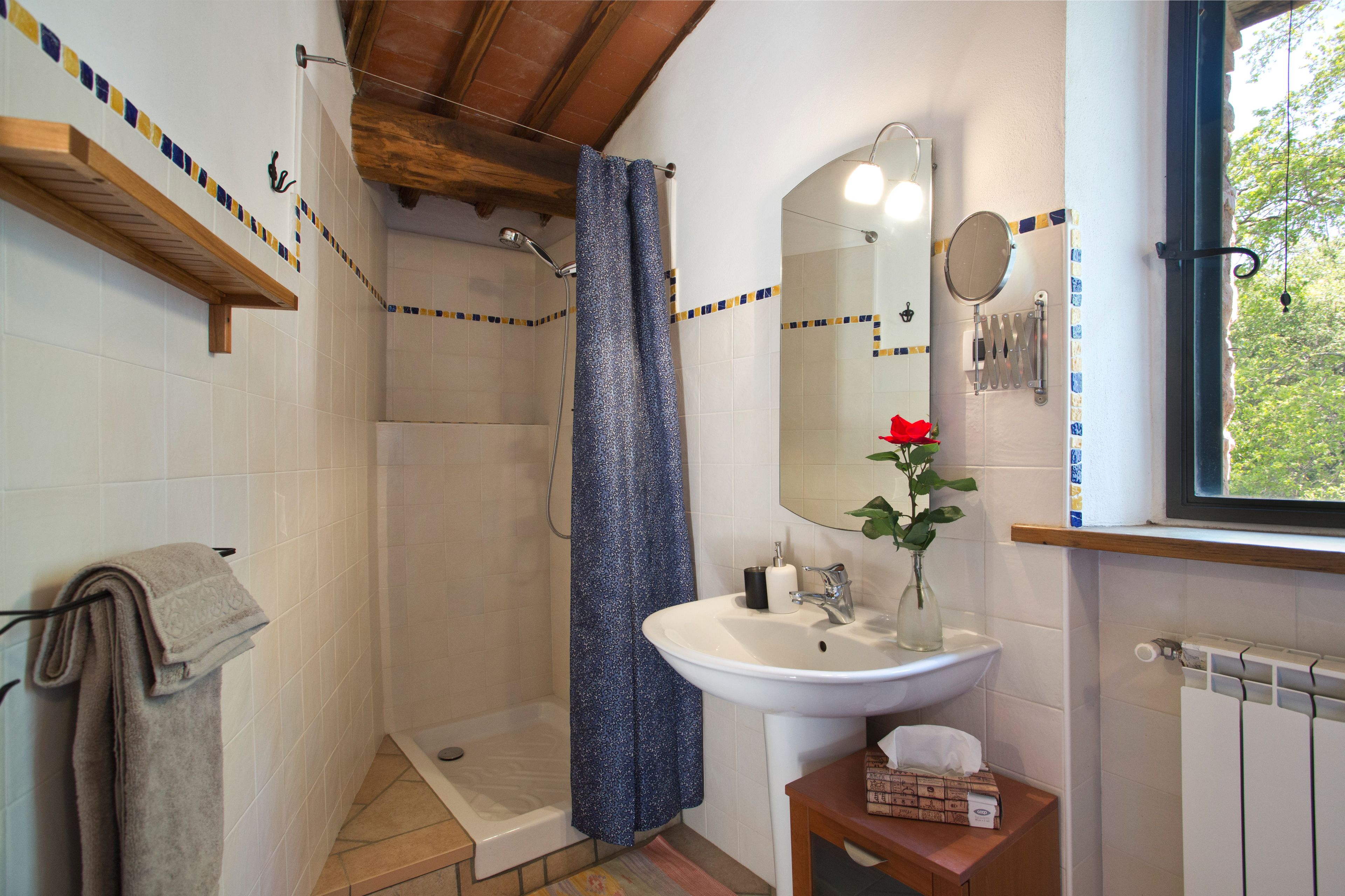A bathroom with a shower, sink, and mirror.