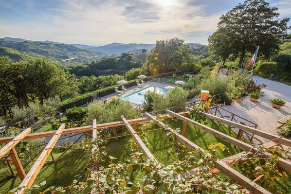 Garden view