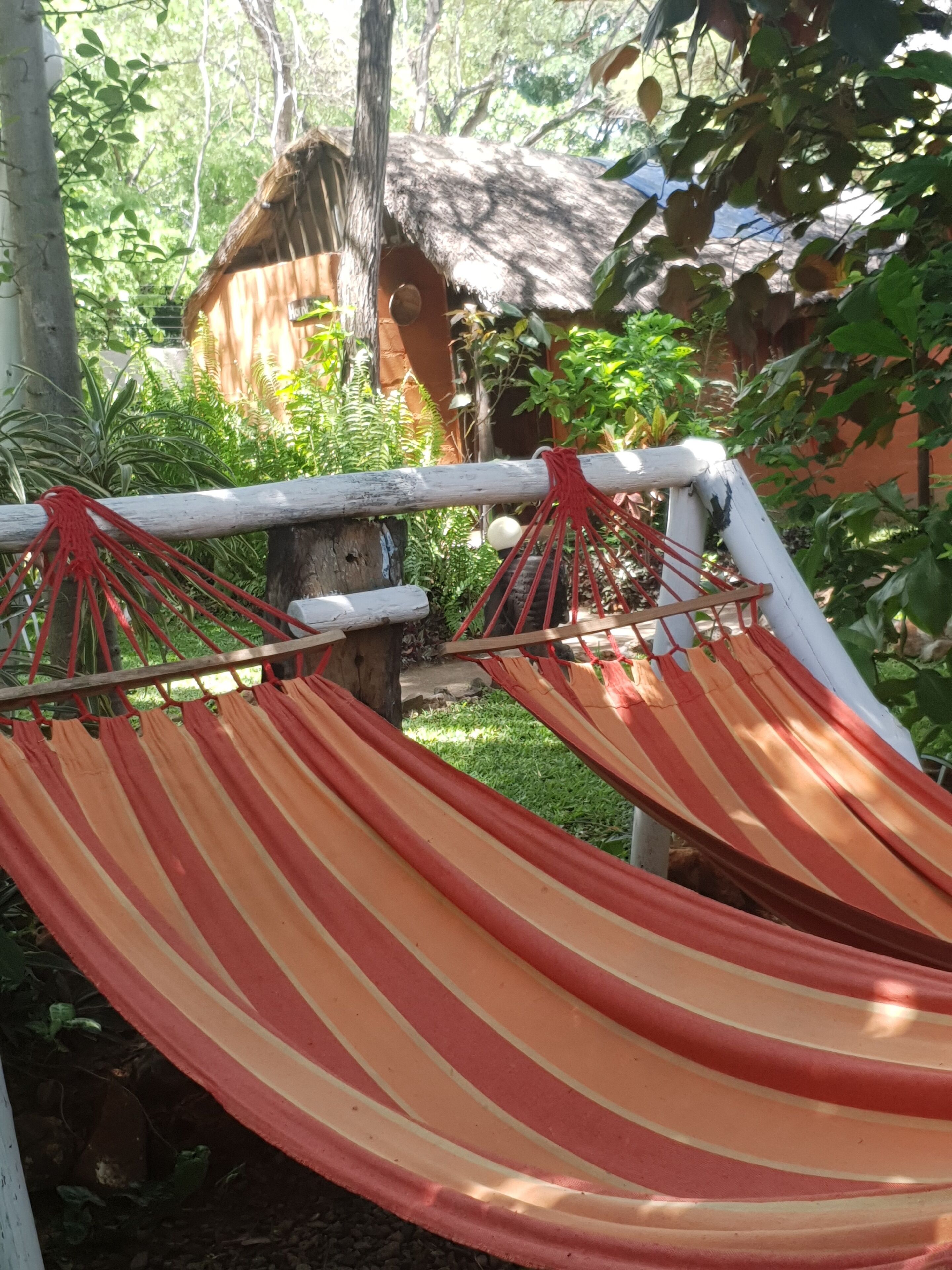 A hammock set up between two wooden posts in a garden with a thatched-roof structure in the background.