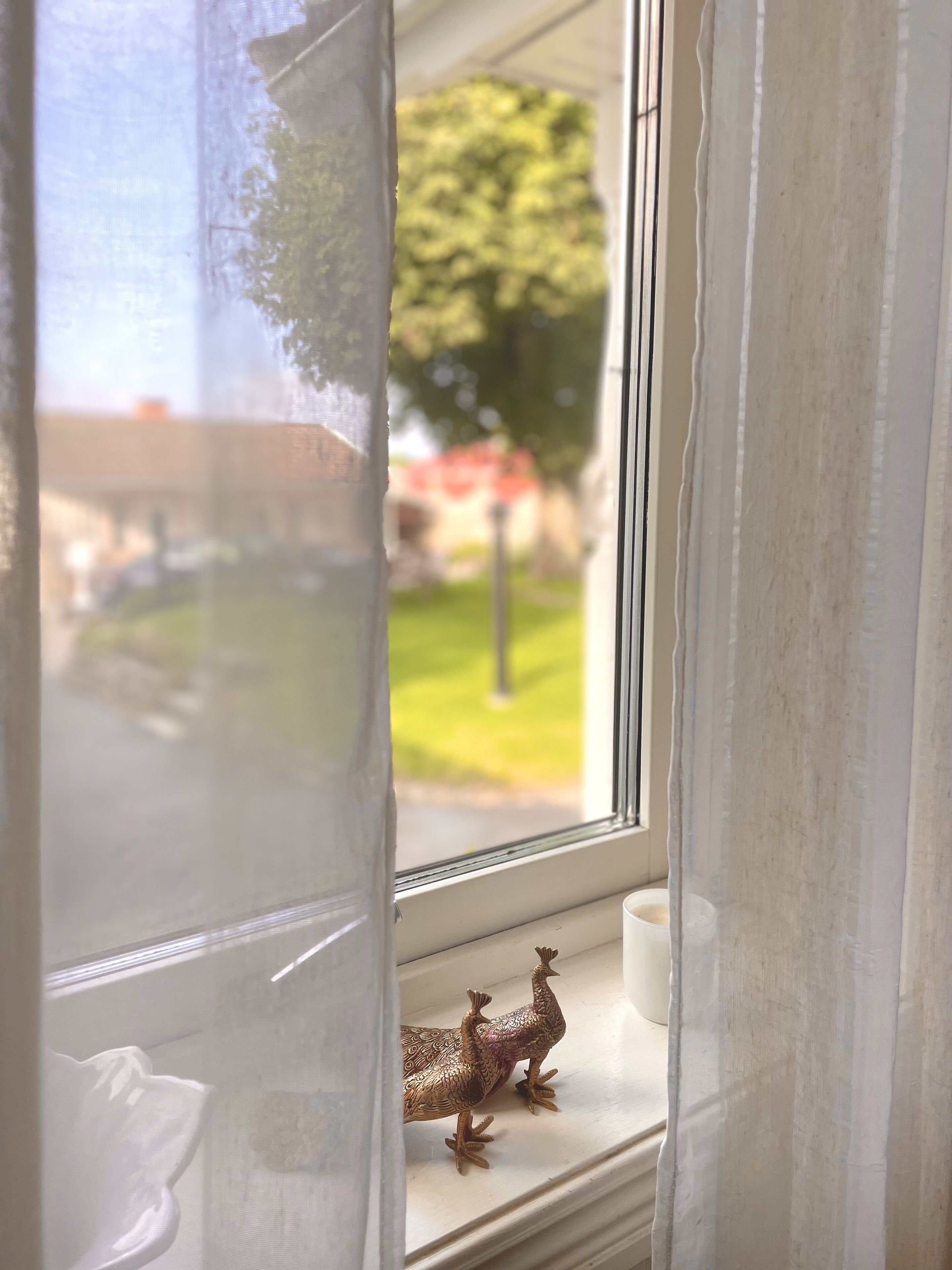 Una ventana con vista a un césped verde y un edificio al fondo.