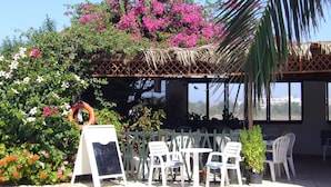 An outdoor seating area with white plastic chairs and tables, surrounded by lush greenery and flowering plants. - Nina Beach Hotel (Kos)