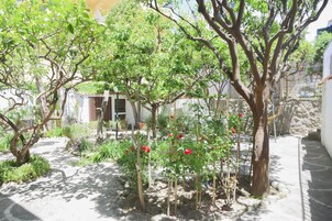 Jardín