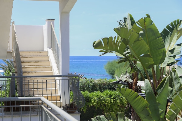 Vista desde la propiedad