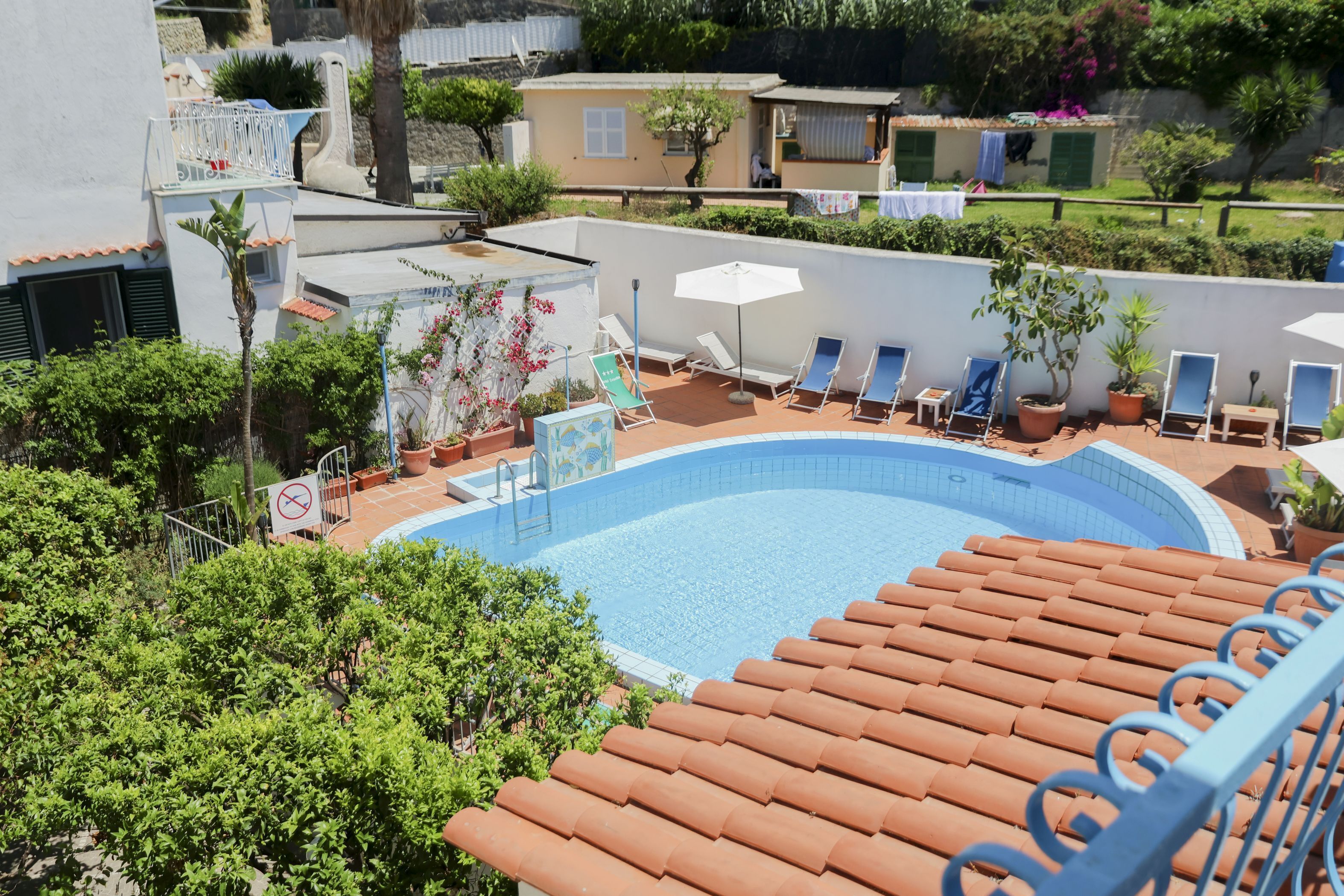 A rooftop swimming pool with lounge chairs and potted plants.