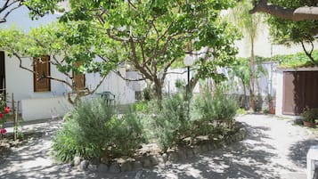 Jardin