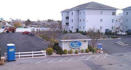 Westward Ho 203 Studio Bedroom Condo by RedAwning