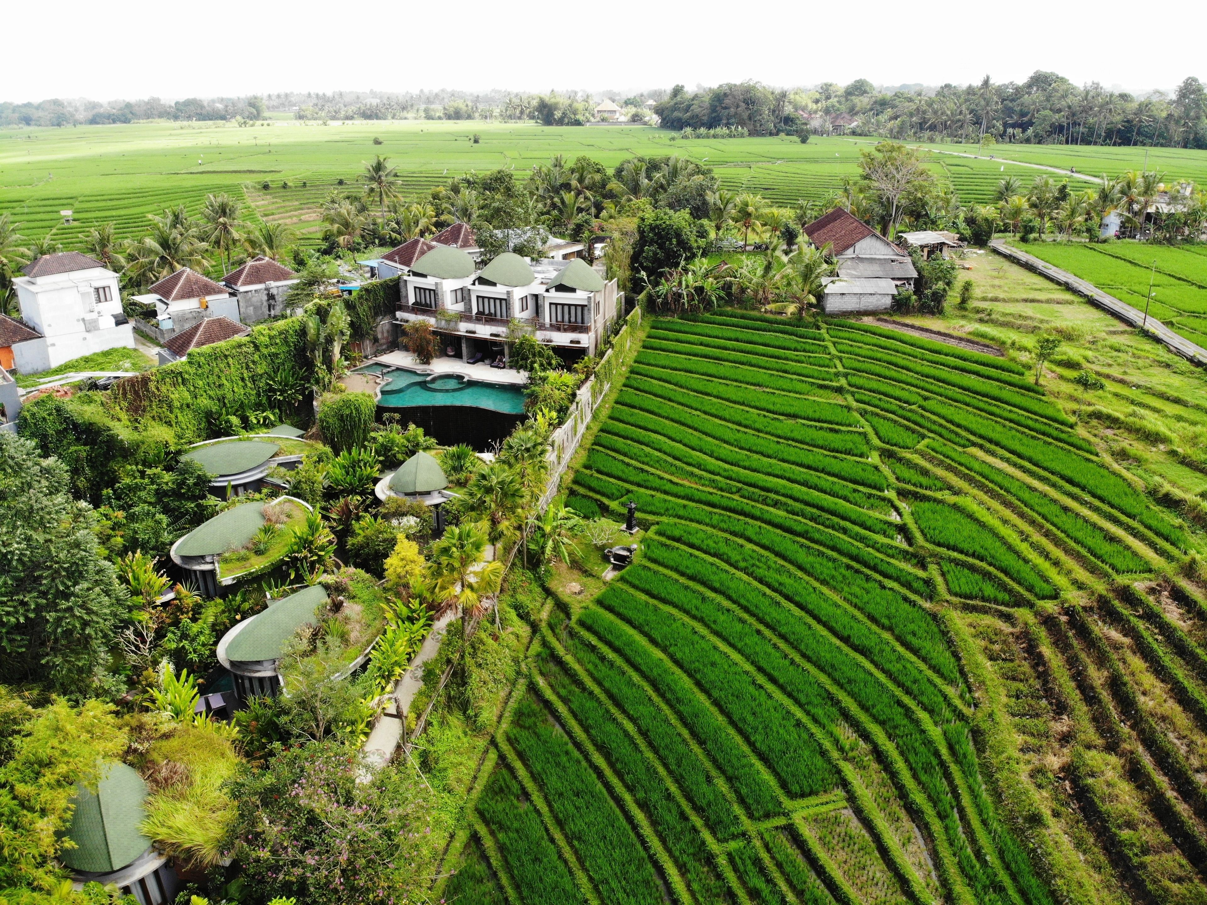 A large house with multiple rooms and a swimming pool surrounded by lush green fields and trees.