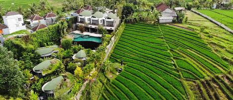 A large house with multiple rooms and a swimming pool surrounded by lush green fields and trees.