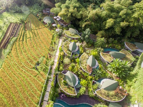 De Moksha Eco Friendly Boutique Resort