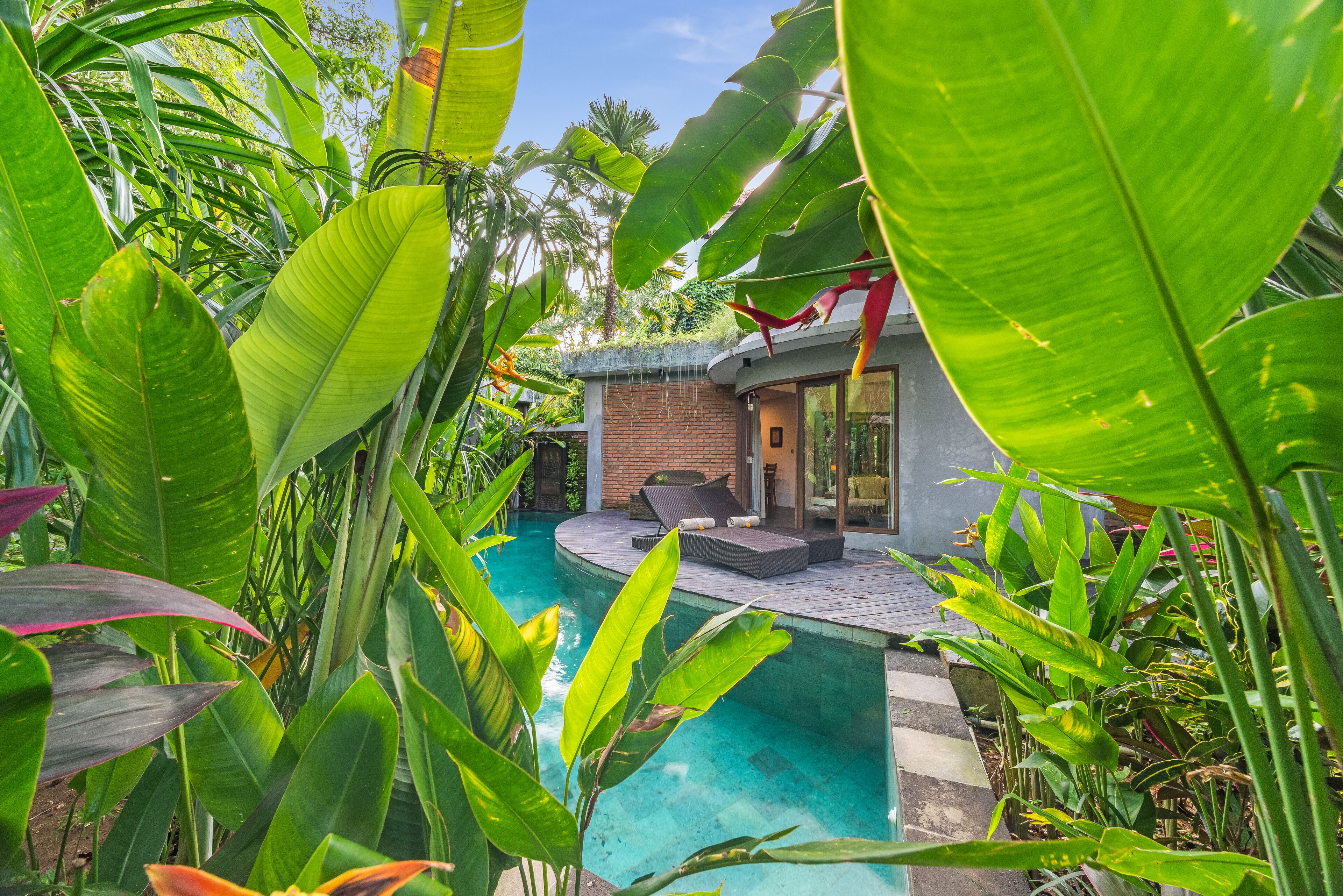 Una zona junto a la piscina con un espacio de descanso integrado y exuberante vegetación tropical.