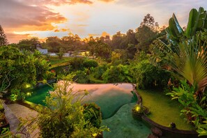 Un jardín ajardinado con piscina, rodeado de abundante vegetación y con vista a una casa al fondo.