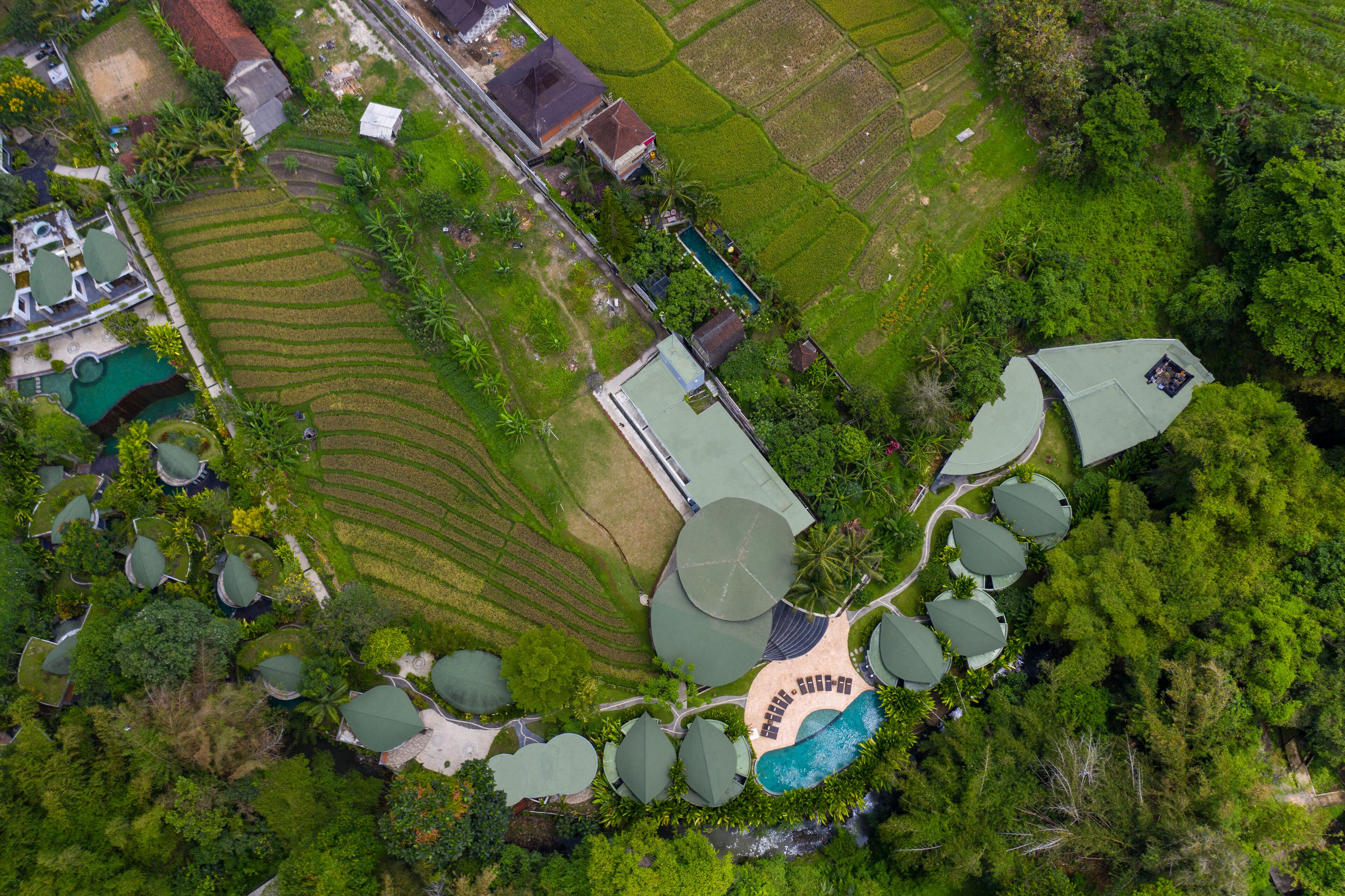 Vista aérea de um resort com vários edifícios de telhado verde, piscina e campos de arroz em socalcos.