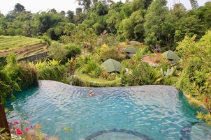 7 indoor pools, 3 outdoor pools, pool umbrellas, sun loungers
