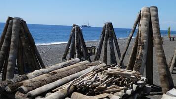 A beach with wooden logs and a ship in the background.