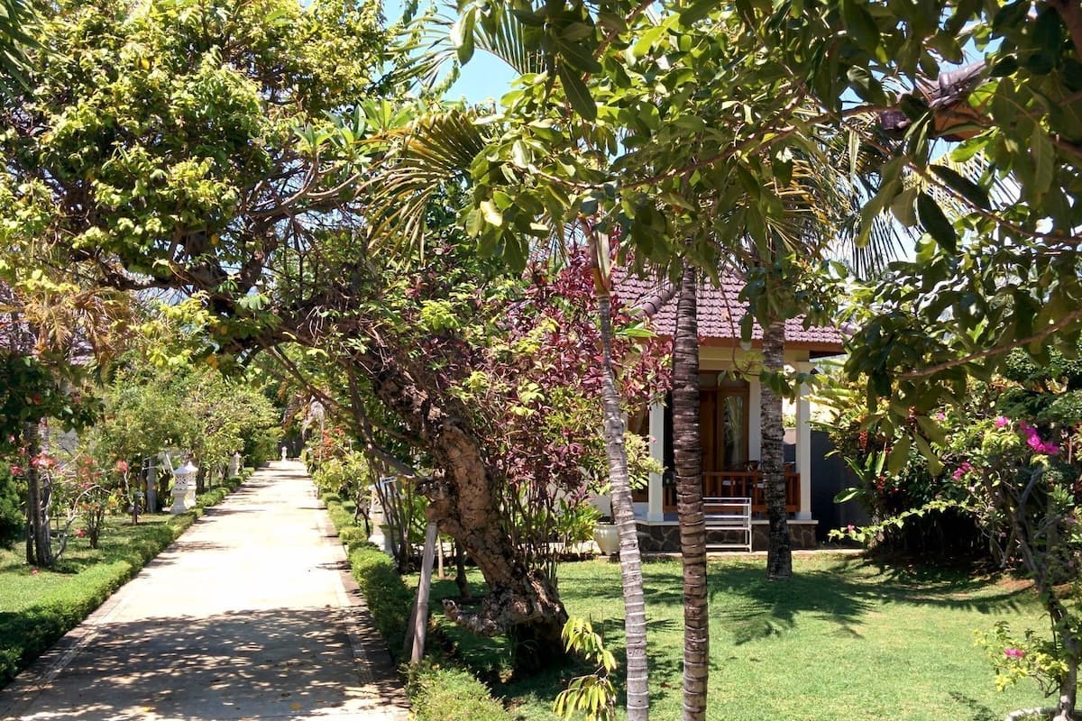 Un sendero que lleva a una casa rodeada de abundante follaje y diversas plantas.