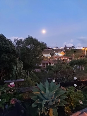 Family Room | View from room - Hostal Girasoles (Salento)