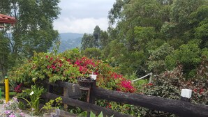 Un jardín con valla de madera, diversas plantas y vistas a colinas distantes.