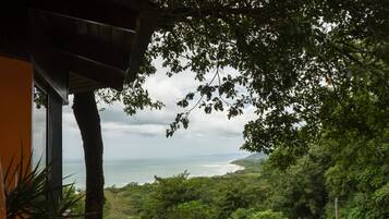 Deluxe Villa (La vista) | Beach/ocean view