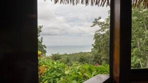 Vista desde una ventana sobre un paisaje verde exuberante con una masa de agua al fondo.