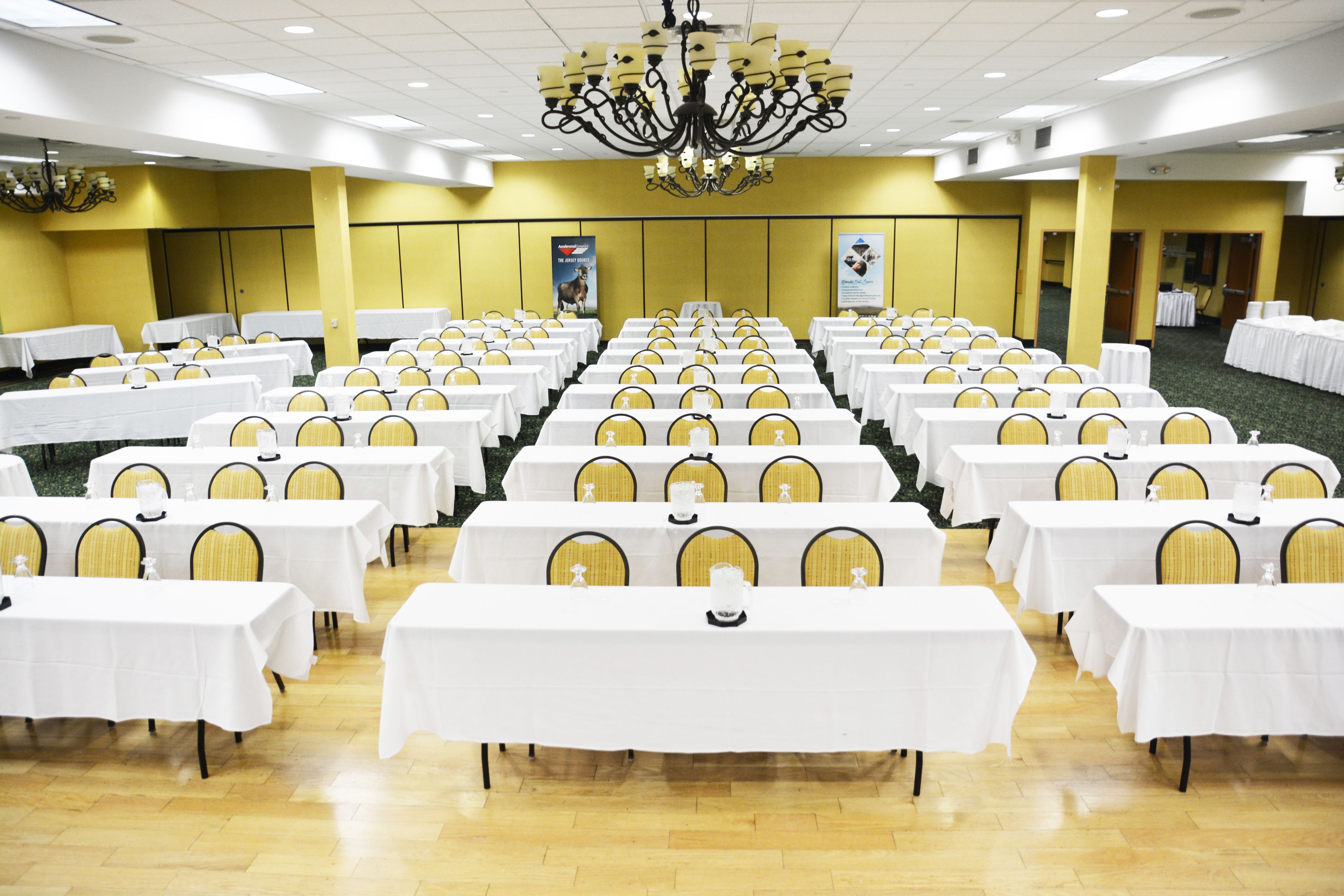 A banquet hall with rows of tables and chairs, a chandelier, and yellow walls.